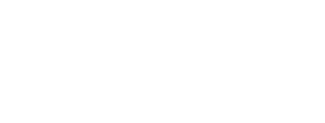 Pioneers Logo